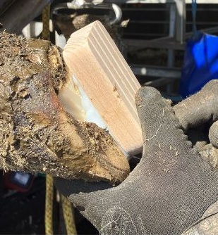 Person holding a block on a hoof while the glue sets.